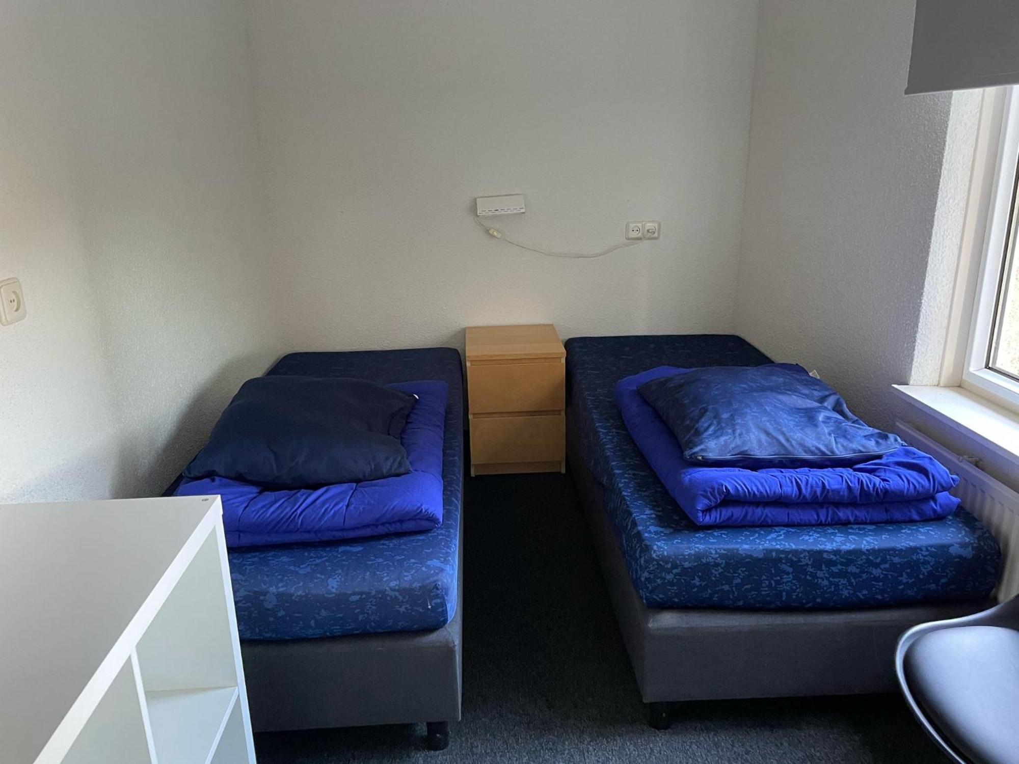 Vakantiepark De Oude Molen 고스비크 외부 사진